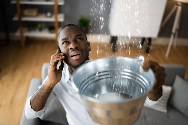 Best Basement water damage restoration  in Greenfield, MN