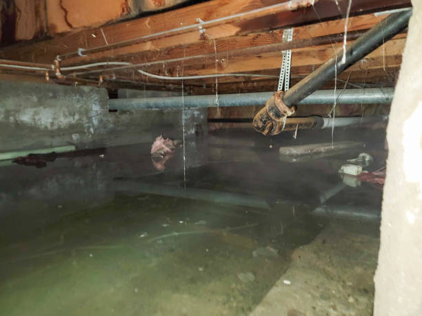 Local water damage restoration in MN
