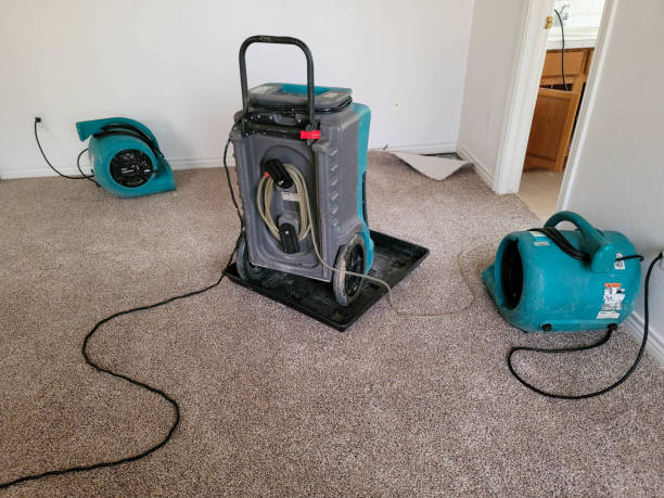 Best Water damage restoration near me  in Greenfield, MN