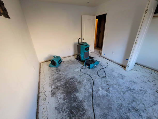 Best Residential water damage restoration  in Greenfield, MN