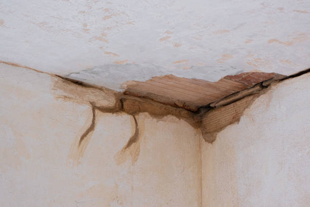 Best Local water damage restoration  in Greenfield, MN