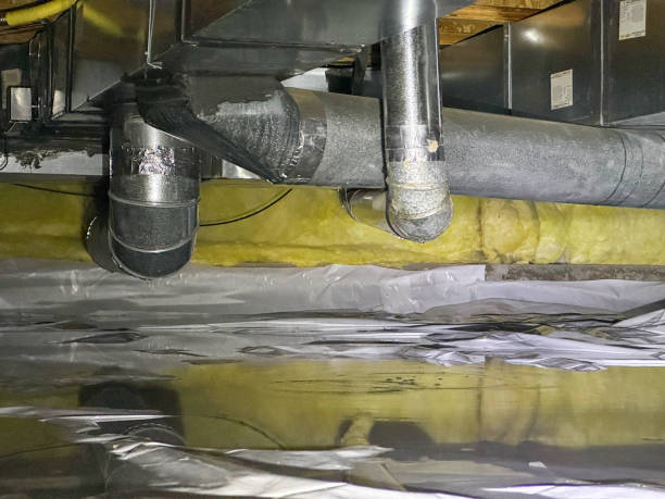 Best Flood damage cleanup  in Greenfield, MN