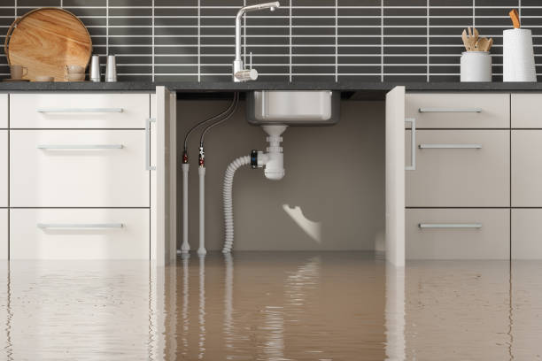  Greenfield, MN Water damage restoration Pros